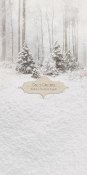 vorschau-dropdreams-weihnachts-backdrop-104